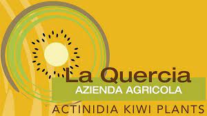 Quercia-kiwi-logo