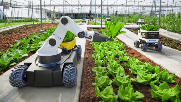 La IA está llegando a la agricultura más rápido de lo esperado