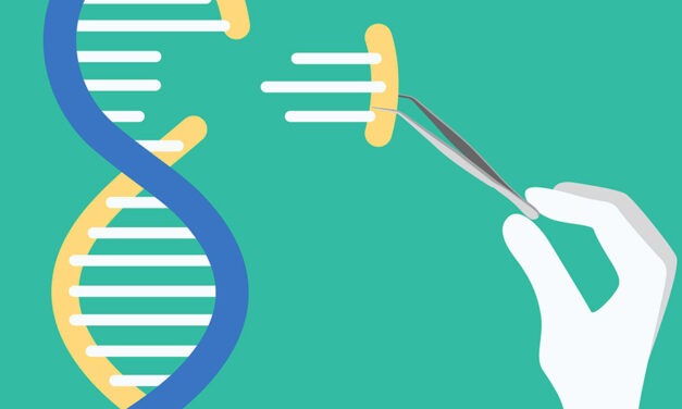 Se acelera la mejora genética: Más cerca de poder utilizar las NTG