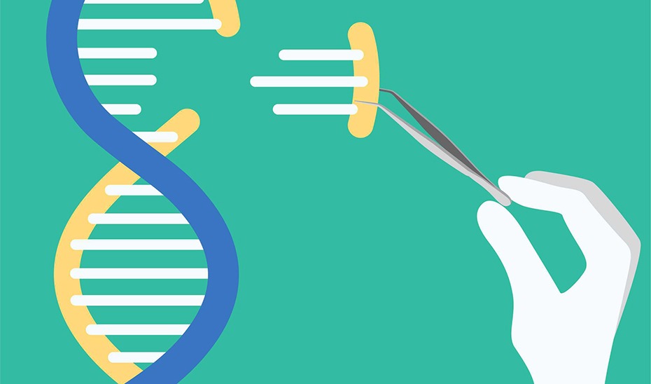 Se acelera la mejora genética: Más cerca de poder utilizar las NTG