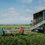 Online buying of used machines in the Horticulture sector increasingly popular