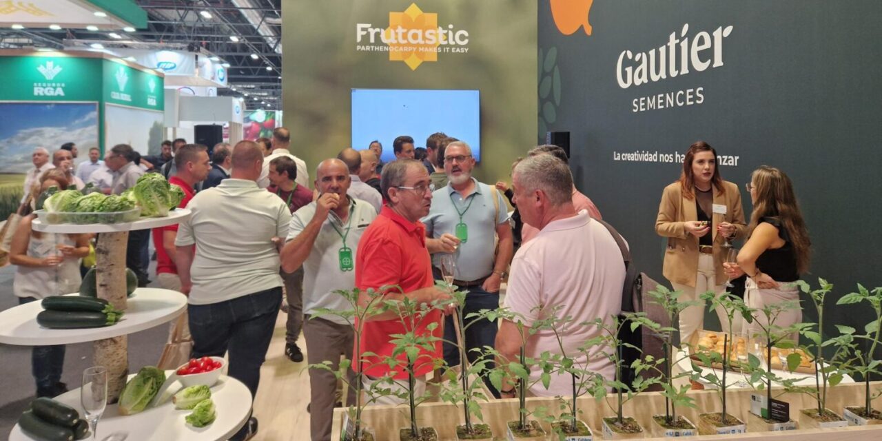 Gautier Semences lanza la primera gama de calabacines altamente partenocárpicos: FRUTASTIC®