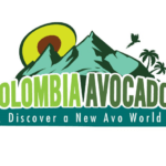 Promoción, Divulgación y Sostenibilidad, Claves del Éxito del Aguacate de Colombia en el mercado norteamericano