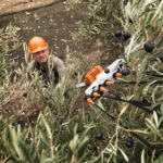 Cultivo de olivo: nuevo vareador a batería SPA 130 de Stihl