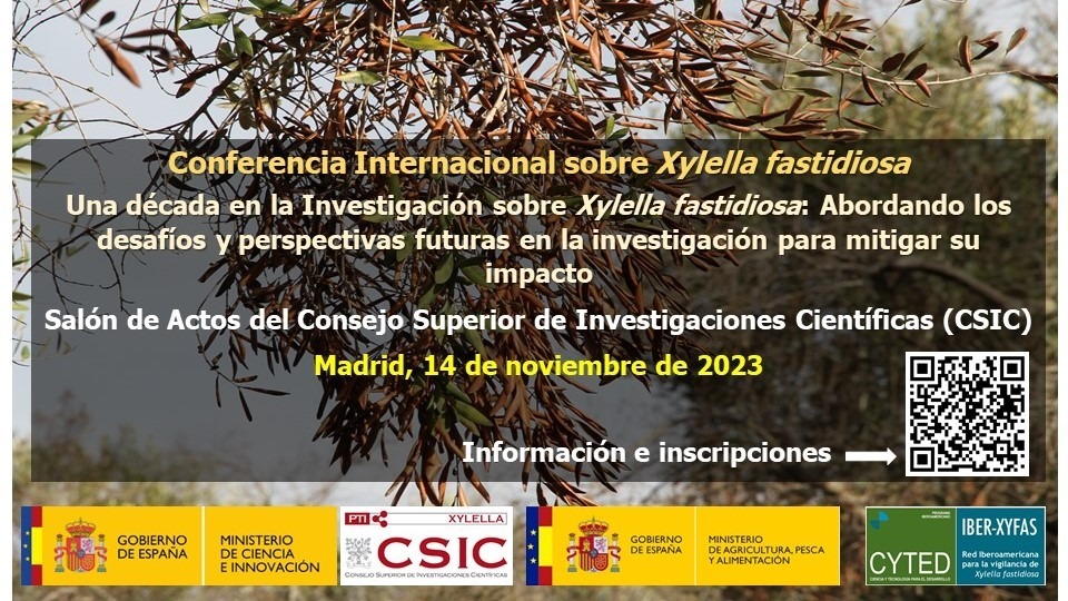 Workshop Internacional sobre Xylella fastidiosa
