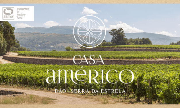 Primer viñedo para vinificación de la península Ibérica certificado Residuo Cero