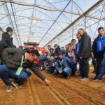 Orticoltura tecnica in campo, el evento que marca el ritmo en la horticultura global