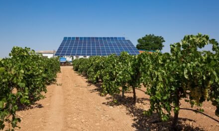 Cultivo de viña: placas solares para automatización, sostenibilidad y ahorro