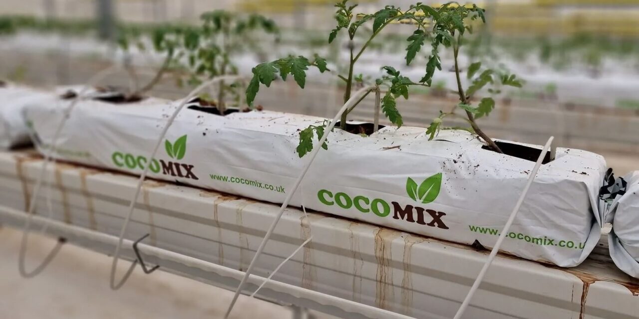 Cocomix, el mejor sustrato hidropónico para un excelente enraizamiento y desarrollo de las plantas