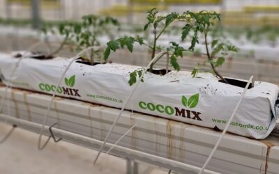Cocomix, el mejor sustrato hidropónico para un excelente enraizamiento y desarrollo de las plantas