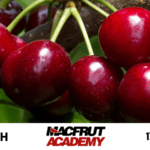 Academia Macfrut, una nueva lección en vídeo