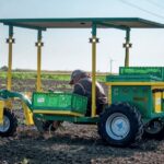 Innovaciones agrícolas: sostenibilidad desde la siembra hasta la cosecha