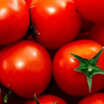 Regulación del desarrollo y la maduración del tomate